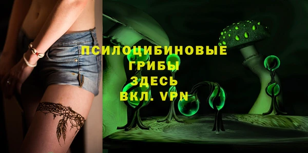 apvp Абаза