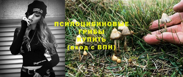 apvp Абаза