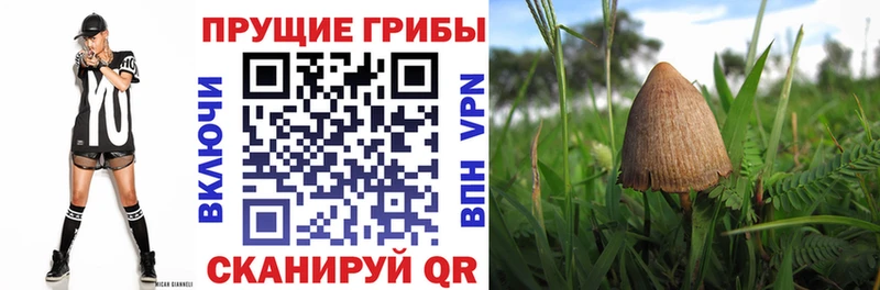 Галлюциногенные грибы мухоморы  Аксай 